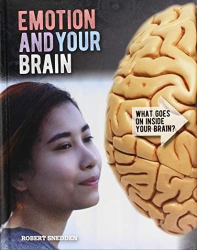 Emotion and Your Brain