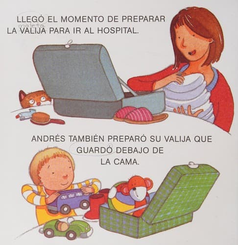 Llega El Bebe/the Baby's Coming (Que Me Pasa)
