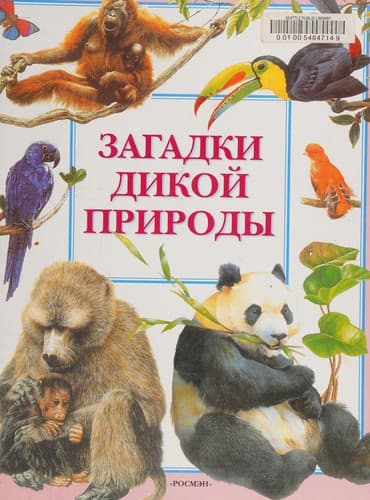 World Wildlife