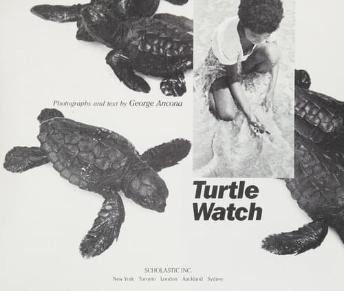 Turtle watch