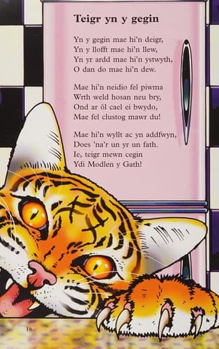 Teigr Yn y Gegin