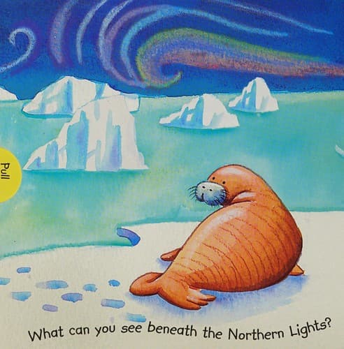 Arctic Wonders