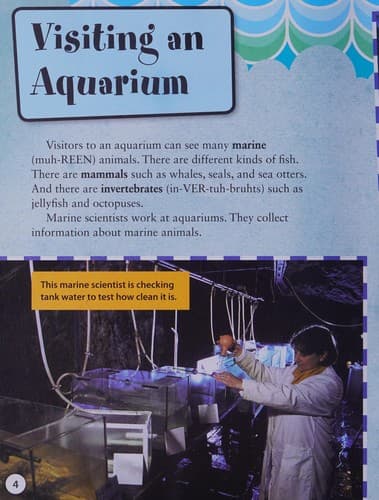 At the Aquarium