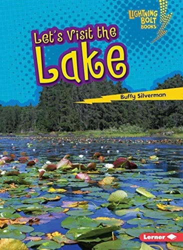 Let's Visit the Lake