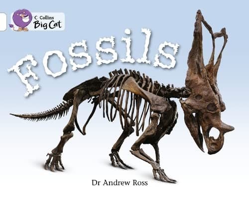 Fossils