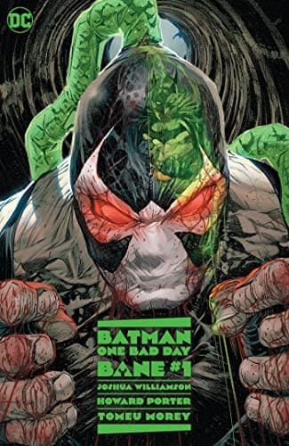 Batman : One Bad Day