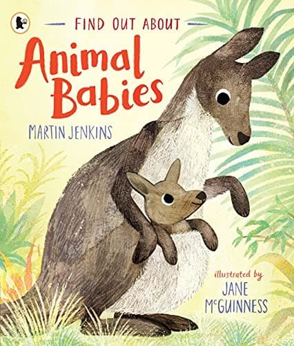 Animal Babies