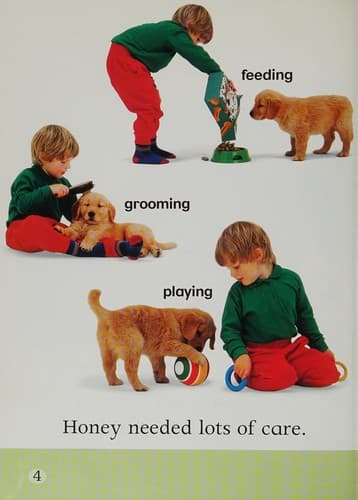 Dog Named Honey