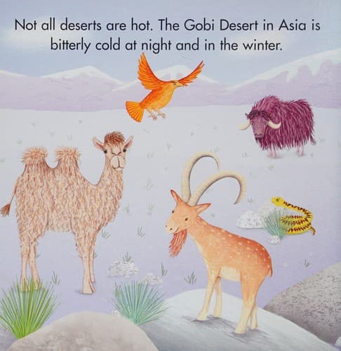 Seek and Slide in the Desert (Seek & Slide)