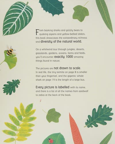 1000 Things in Nature