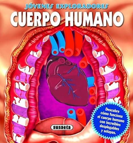 Jóvenes exploradores. Cuerpo humano