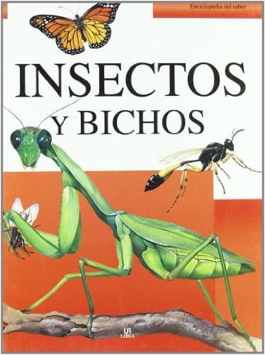 Insectos y Bichos