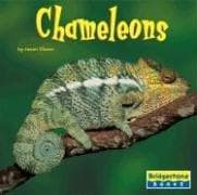 Chameleons