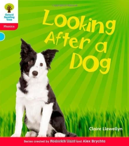 Looking after a Dog