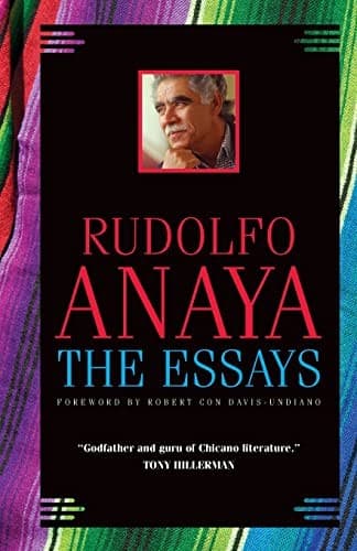 Essays