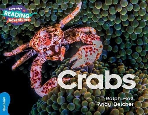Crabs Blue Band