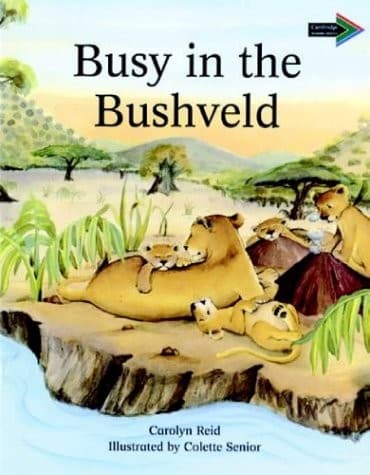 Busy in the Bushveld