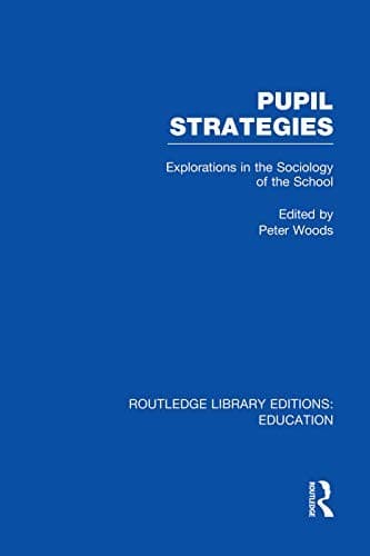 Pupil Strategies