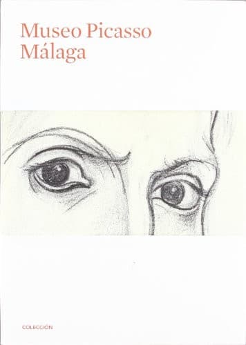 Museo Picasso Málaga