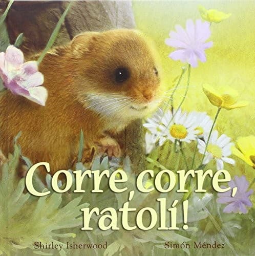 Corrre corre ratoli!