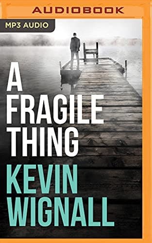 Fragile Thing, A