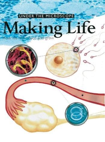 Making life