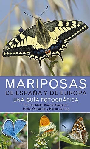 MARIPOSAS DE ESPAÑA Y DE EUROPA