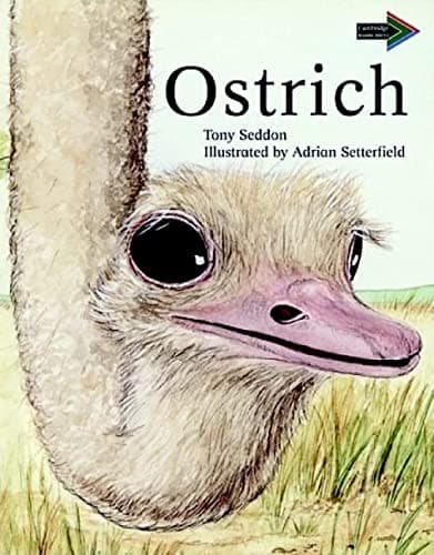 Ostrich