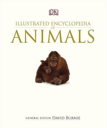 Illustrated Encyclopedia of Animals