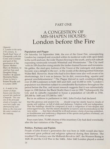 The Great Fire of London