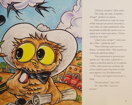 Owl in a Straw Hat