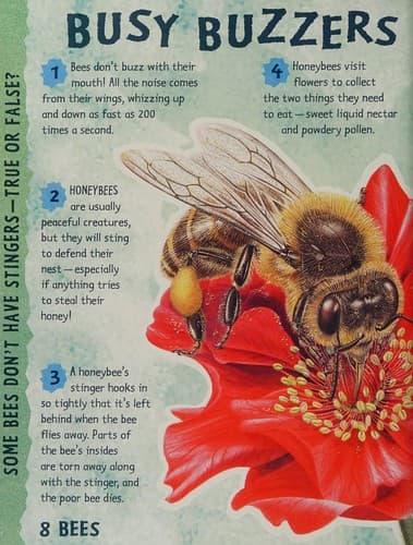 Wings, Stings and Wriggly Things