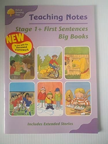 Stage 1+ First Sentences Big Book - Teaching Notes