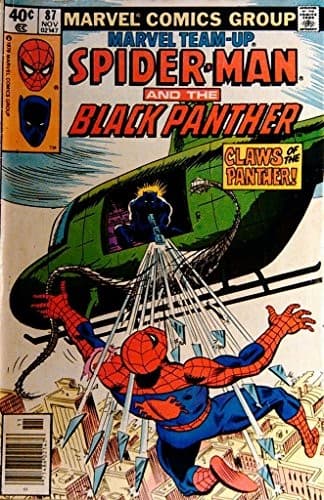 Marvel Team-up : Spiderman and the Black Panther