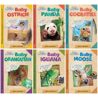 School and Library Active Minds Explorers Baby Animals Read-Along Series