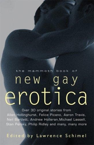 The Mammoth Book of New Gay Erotica