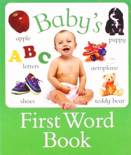 Baby's First Word Book