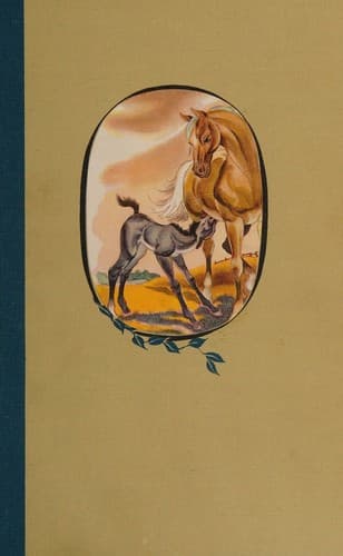 Black Beauty Illustrated Junior Library