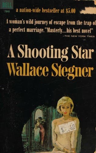 A shooting star