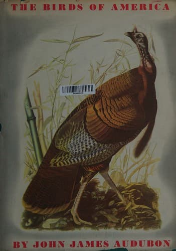Birds of America