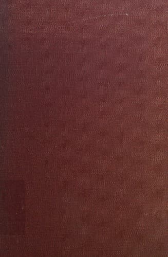 The fictional technique of Scott Fitzgerald
