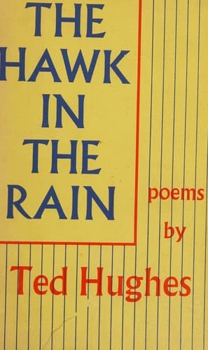 The hawk in the rain