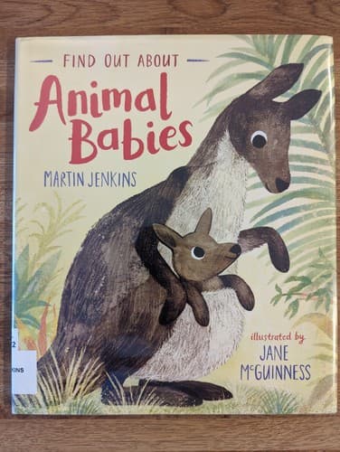 Find Out about Animal Babies