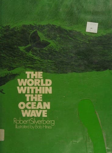 The world within the ocean wave