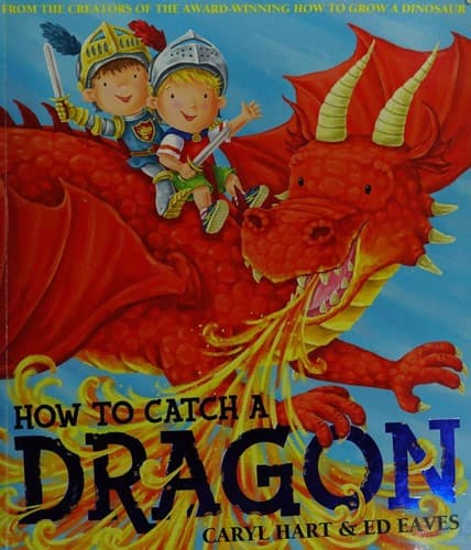How to Catch a Dragon