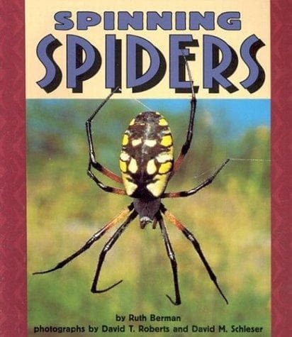 Spinning spiders