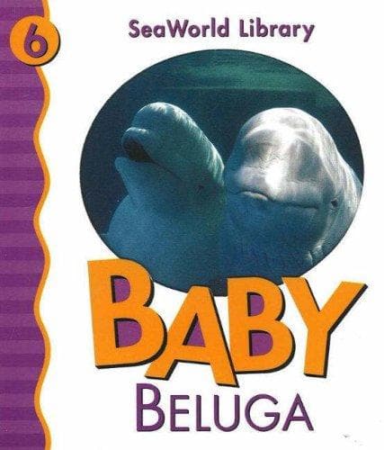 Baby beluga