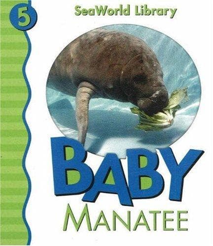 Baby manatee