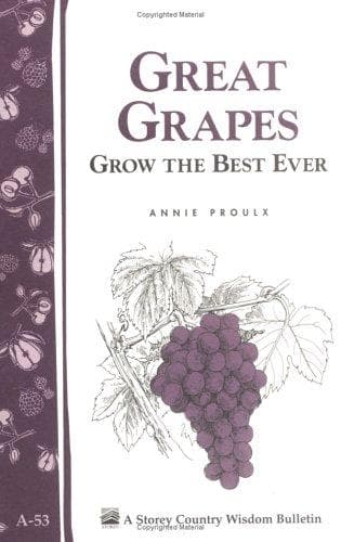 Great Grapes