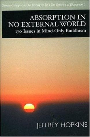 Absorption in no external world